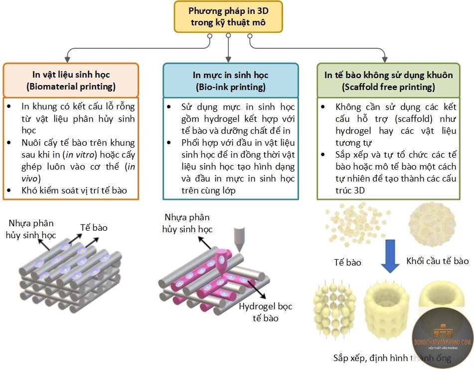 biomaterial là gì - Hình 2