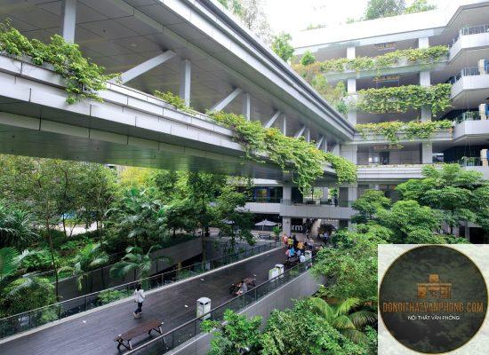 biophilic design là gì