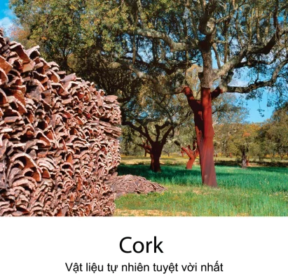 cork là gì