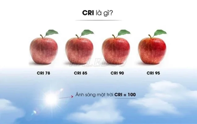 cri là gì