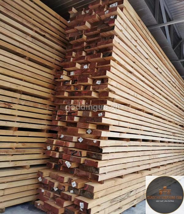 gỗ birch là gì - Hình 2