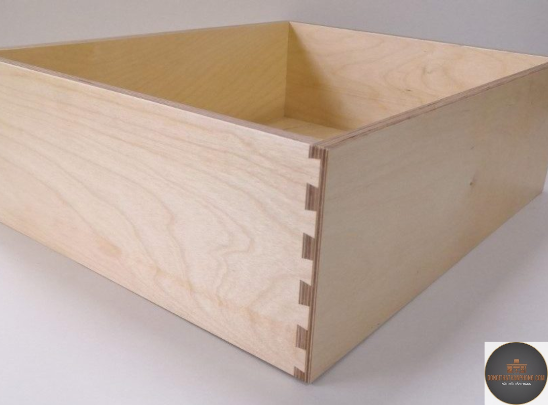 gỗ birch là gì - Hình 3