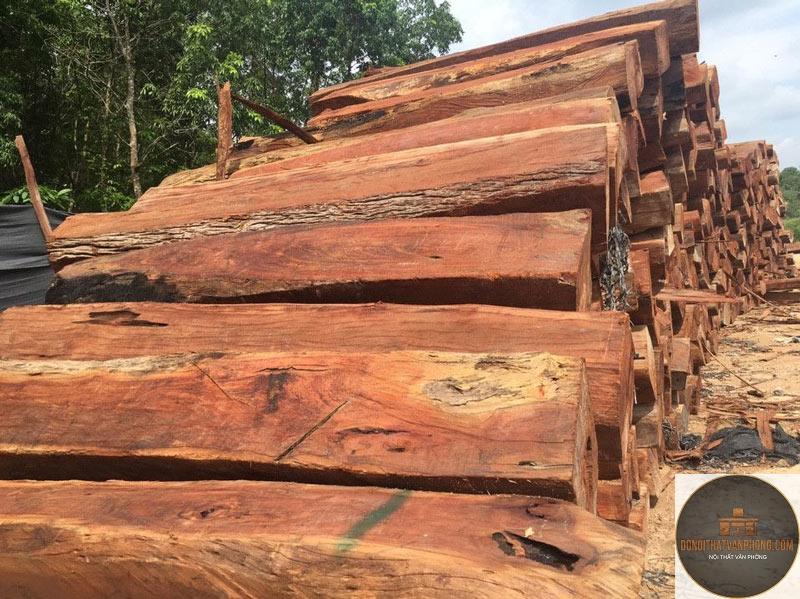 gỗ căm xe là gì - Hình 2