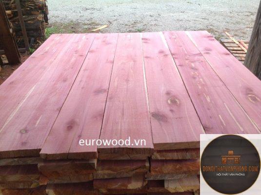 gỗ cedar là gì