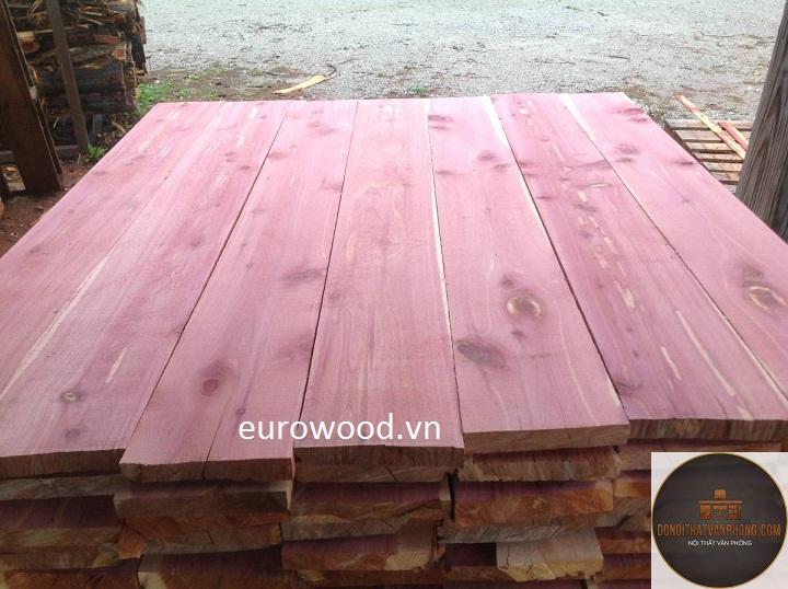 gỗ cedar là gì