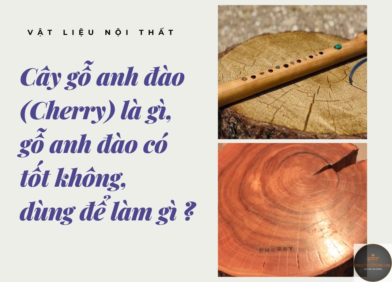 gỗ cherry là gì - Hình 3