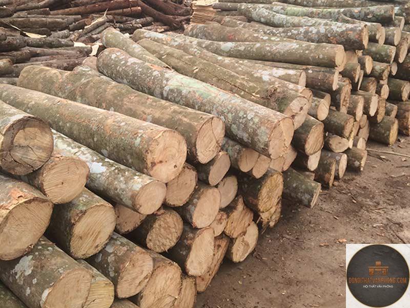 gỗ keo là gì - Hình 2