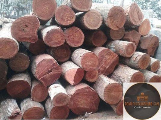gỗ mahogany là gì