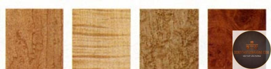 gỗ maple là gì - Hình 5