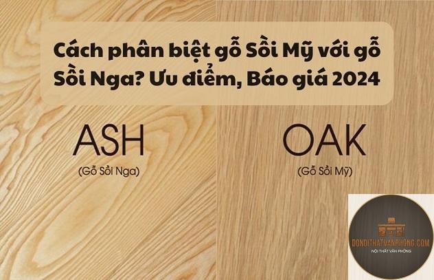 gỗ sồi mỹ là gì - Hình 4