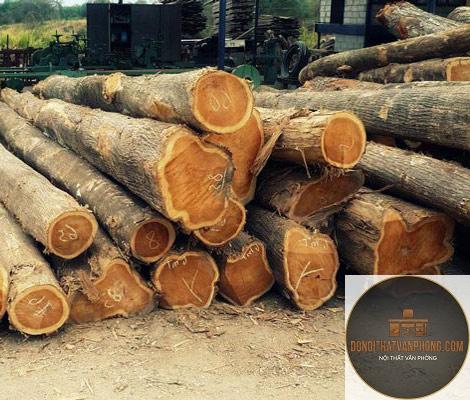 gỗ teak là gì - Hình 3