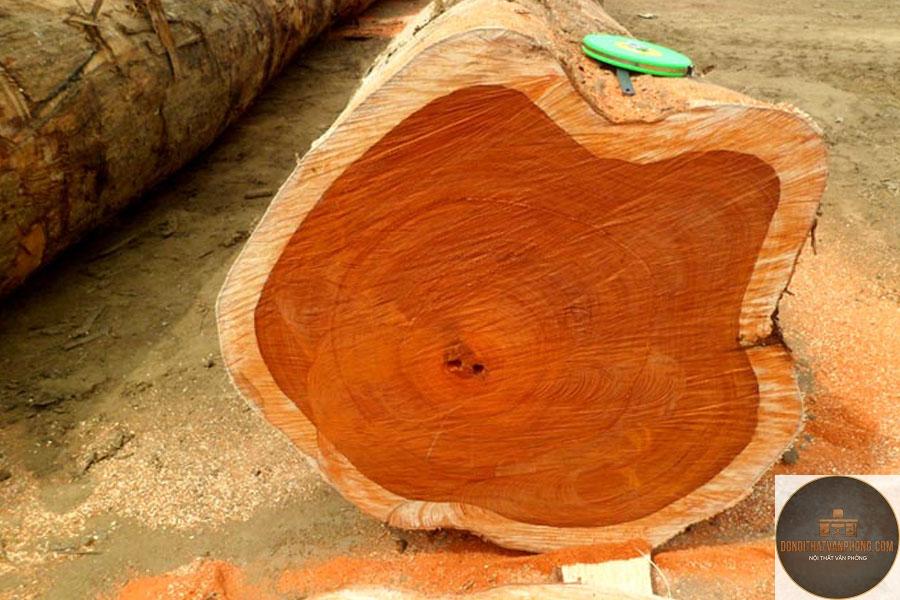 gỗ teak là gì