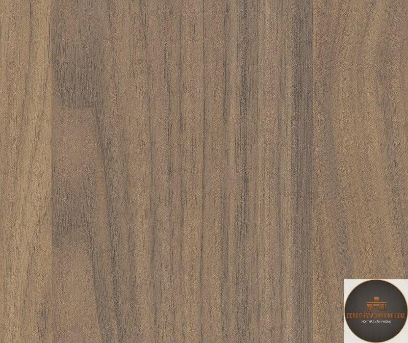 veneer óc chó là gì