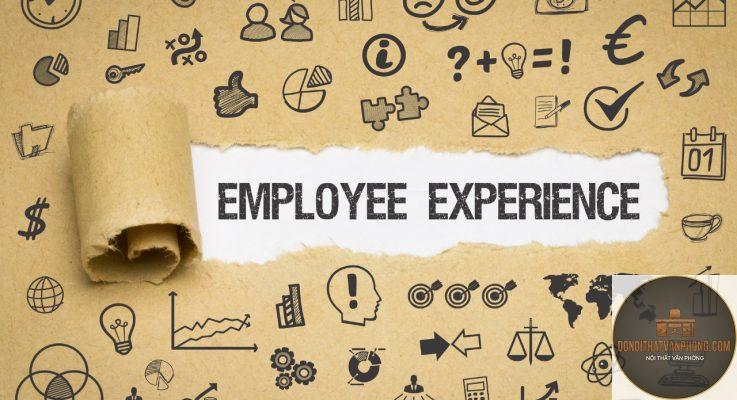workplace experience là gì