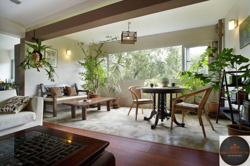 xu hướng cây nội thất - Hình 2