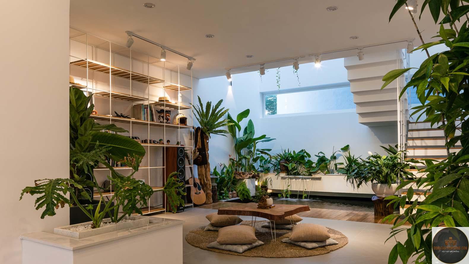 xu hướng cây nội thất - Hình 5