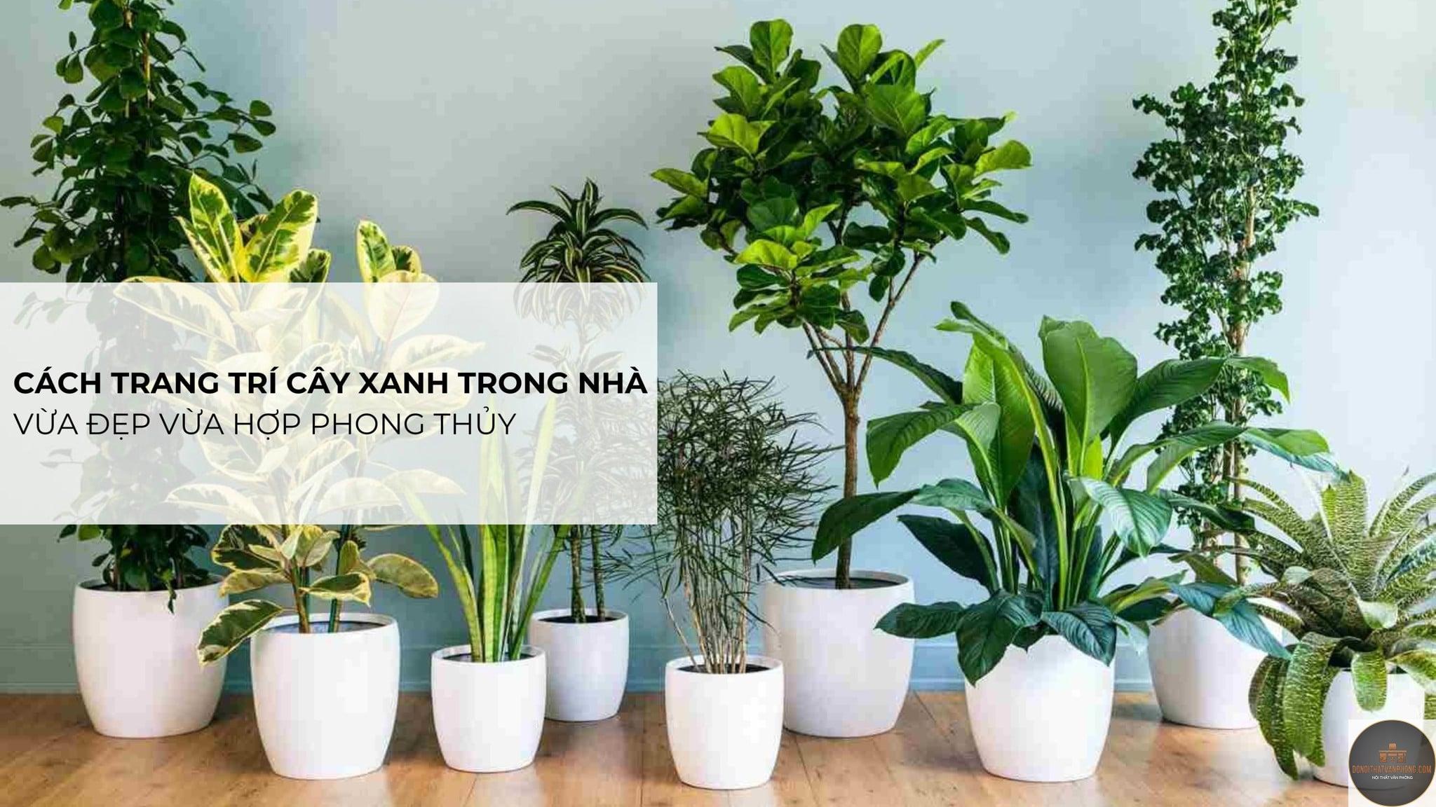 xu hướng cây xanh trong nhà - Hình 3