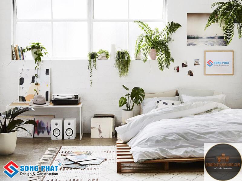 xu hướng cây xanh trong nhà - Hình 5