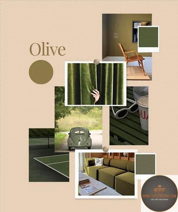 xu hướng màu xanh olive