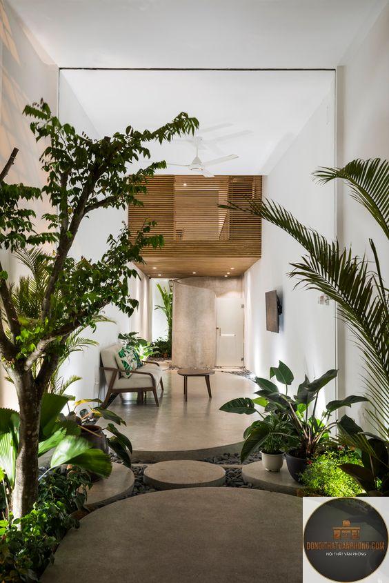xu hướng thiết kế biophilic - Hình 5