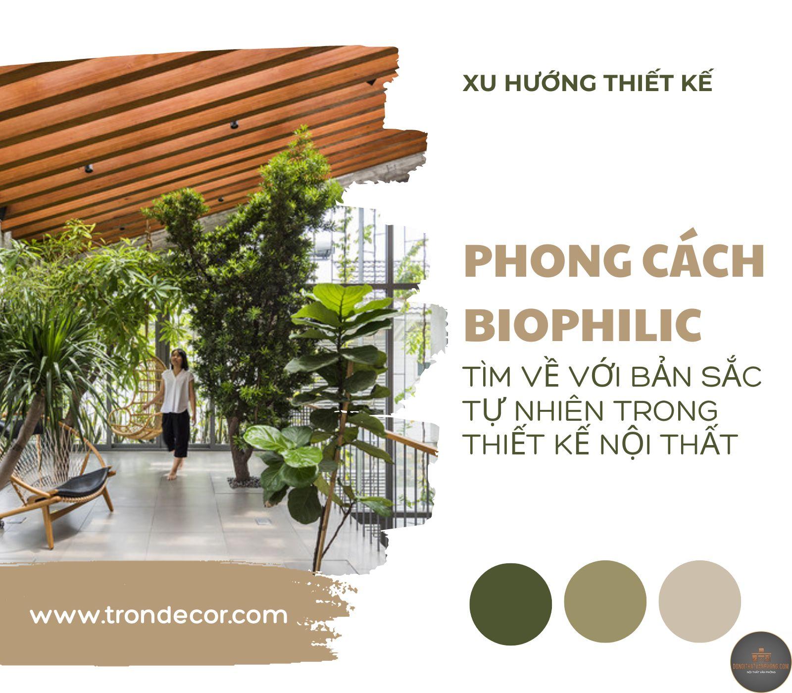 xu hướng thiết kế biophilic - Hình 1