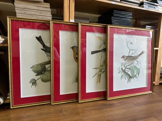 xu hướng tranh canvas