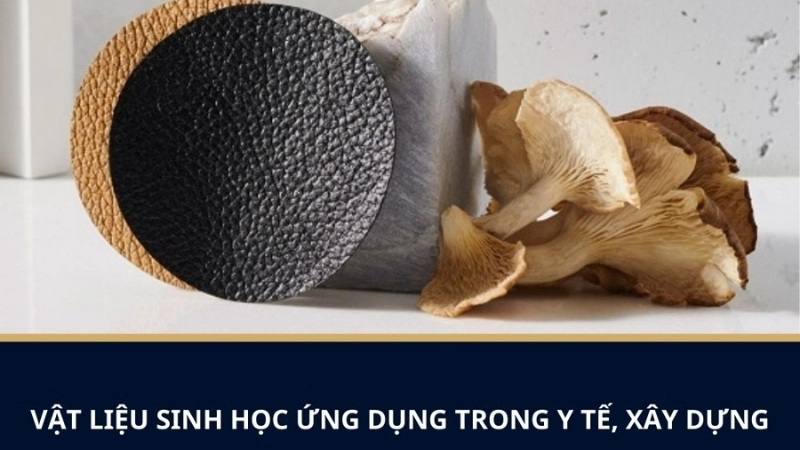 xu hướng vật liệu sinh học - Hình 2