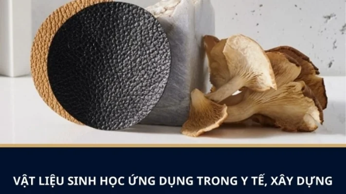 xu hướng vật liệu sinh học